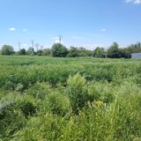 Garbovi, Ialomita